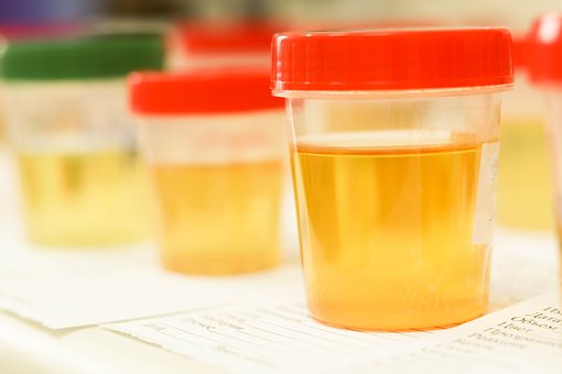 fake urine brand