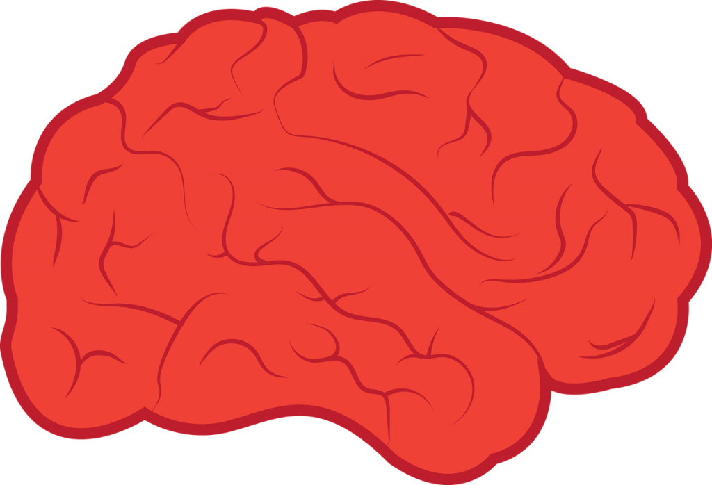 human mind